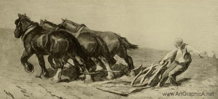 horse drawing, harrowing, horse art