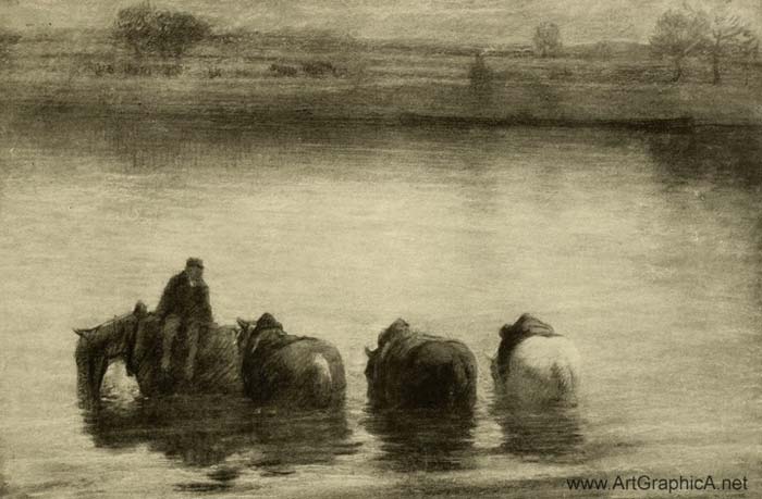 horse drawing, charcoal, seine river, horses in water