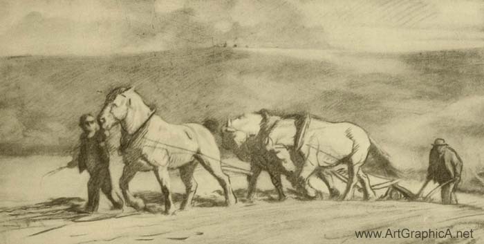 horse art, working horses, PLOUGHING NEAR SALISBURY