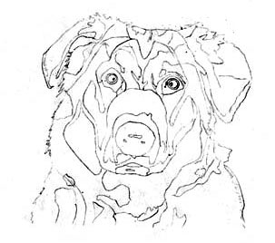 dog drawing, outline