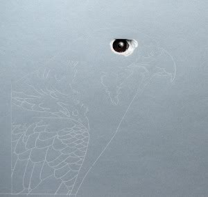 bird eye drawing