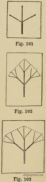 tree shapes, techniques for drawing trees