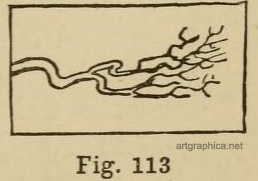 tree branches, twigs, how to draw trees