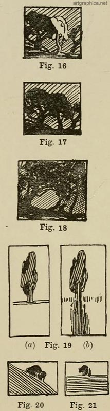 trees and shadow, drawing nature, anatomy of trees book