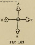 bud growth, tree illustration