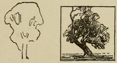 tree outlines, drawing trees tutorial