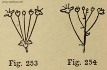 drawing landscapes, advanced tree drawing