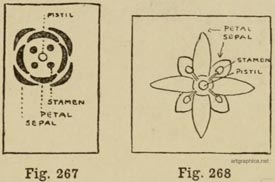 flower art, landscape and flower lesson