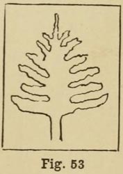 tree art, lessons, art tutorial