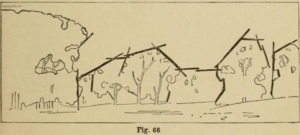 construction of trees, demonstration on drawing trees