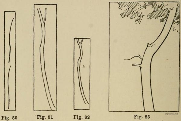 tree branches, drawing trees