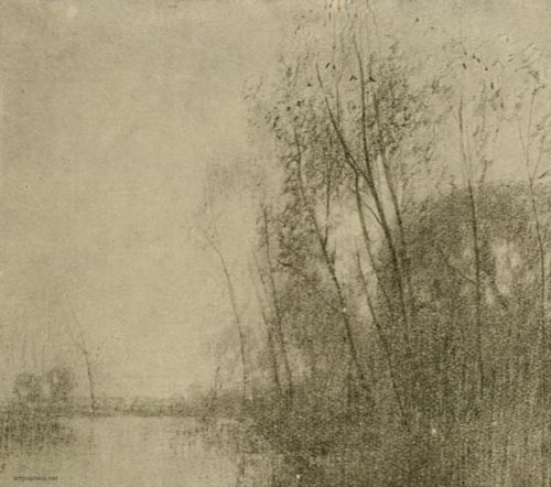 sketch showing masses, drawing tree foliage, tree art