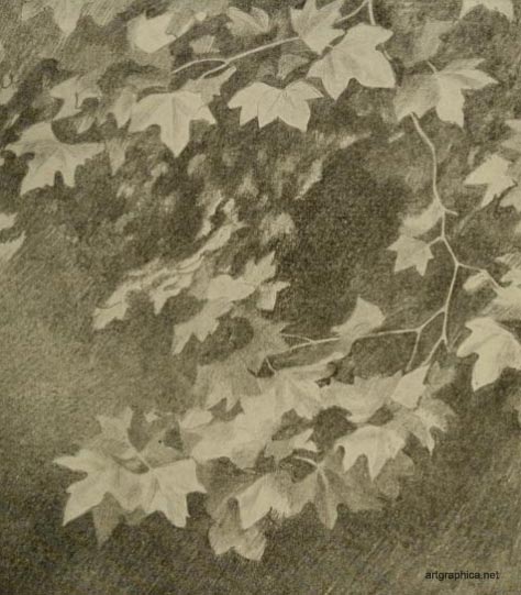 leaf patterns, drawing and painting foliage