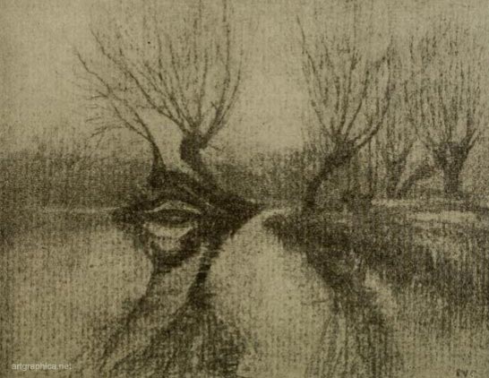 willow charcoal,tree art