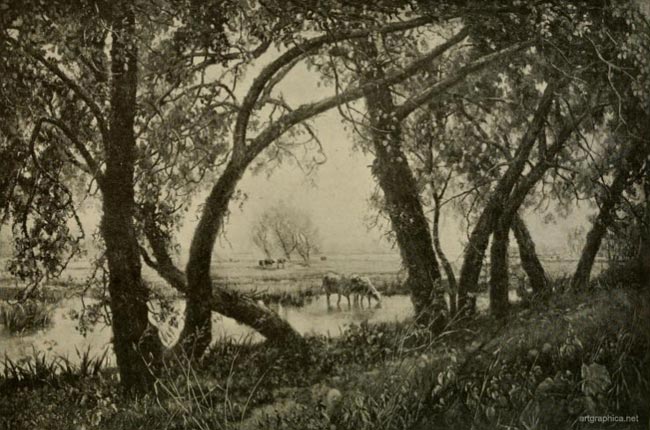 cecil lawson, marsh lands, nature painting