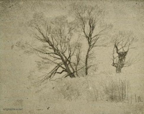 landscape pencil study, vicat cole, drawing trees