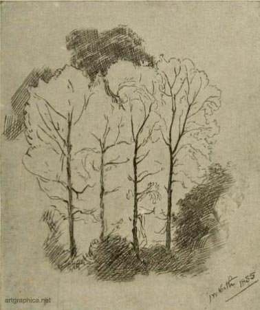 pen and ink tree study, foliage, art