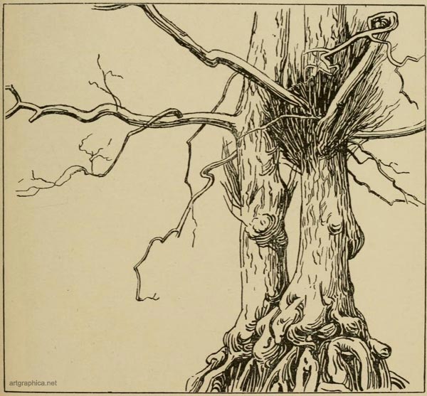 bole adder tree, free art tutorials