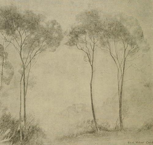 young ash trees, drawing ash trees, advance landscape tutorials