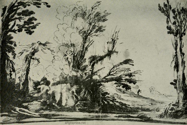 guercino drawing, tree art