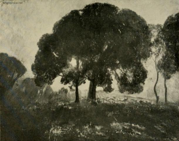 trees against the sun, painting trees in oils