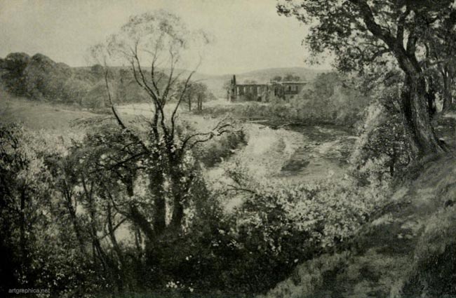 bolton abbey, tree landscape nature