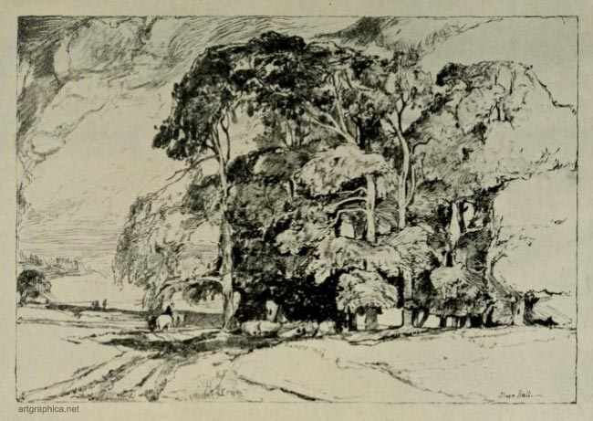 study of sycamore tree, oliver hall