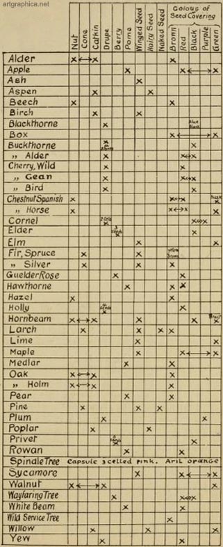 table of fruit trees