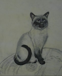 blocking in blacks, painting a cat