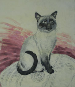 painting the background, oil painting of cat