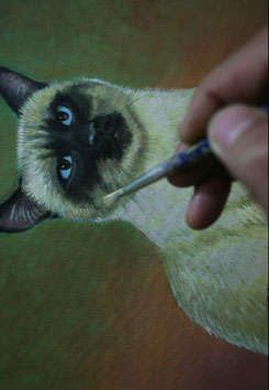 detailing, cat details, painting whiskers, painting fur, how to paint a cat