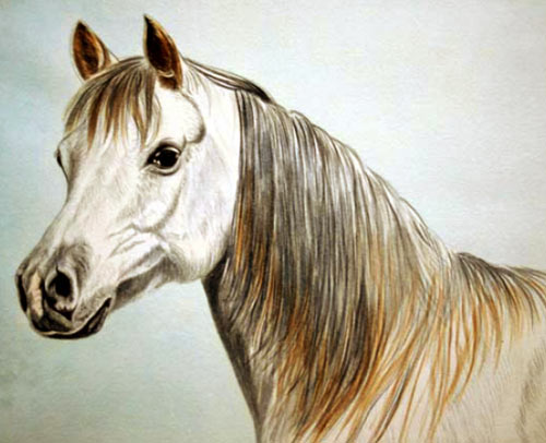 horse pictures to colour for kids. watercolour horse painting