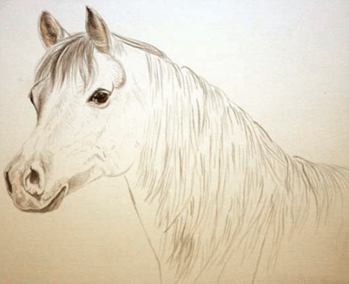 how to paint horses