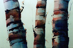 birch trees, watercolour