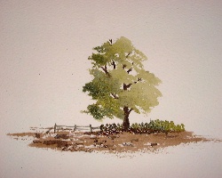 how to paint a tree in watercolors
