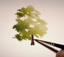 pintura tutoriais de árvores