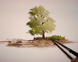 aulas de pintura aquarela árvore,