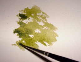 como pintar árvores aquarela