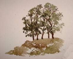 how to paint tree cluster