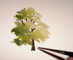 instrução aguarela da arte, pintura de árvores