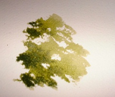 aprender a pintar árvores