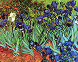 Impressionist painter, Vincent Van Gogh art, giclee canvas, Irises, 1889