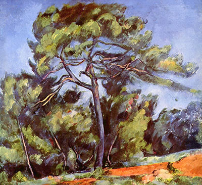 The large Pine