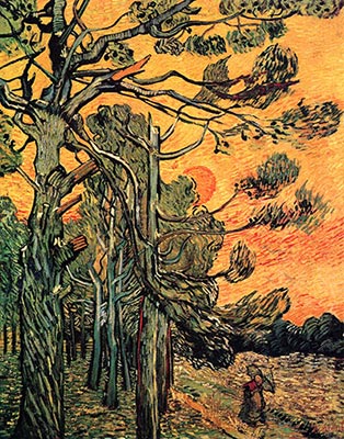 Pine Trees against a Red Sky with Setting Sun