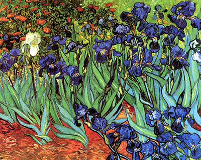Irises, 1889, fine art canvas reproduction print