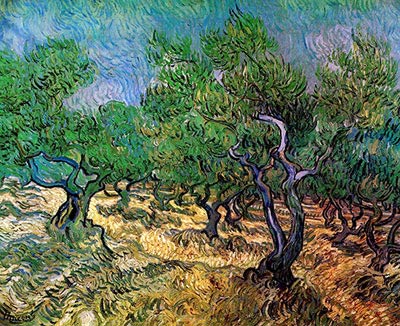 Olive Grove, 1889