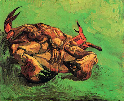 Crab on Its Back, 1889