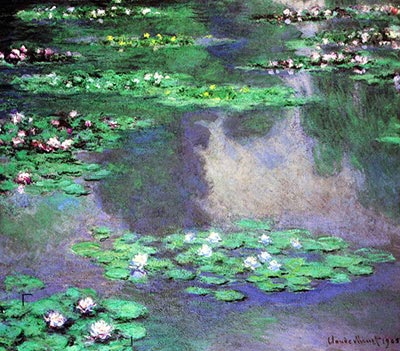Water Lilies