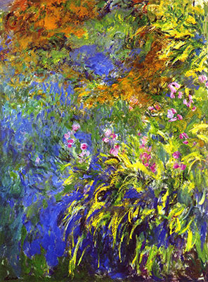 Iris by the Lily pond
