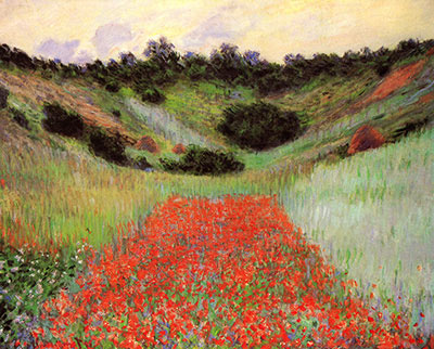 Poppy field of flowers in a valley at Giverny